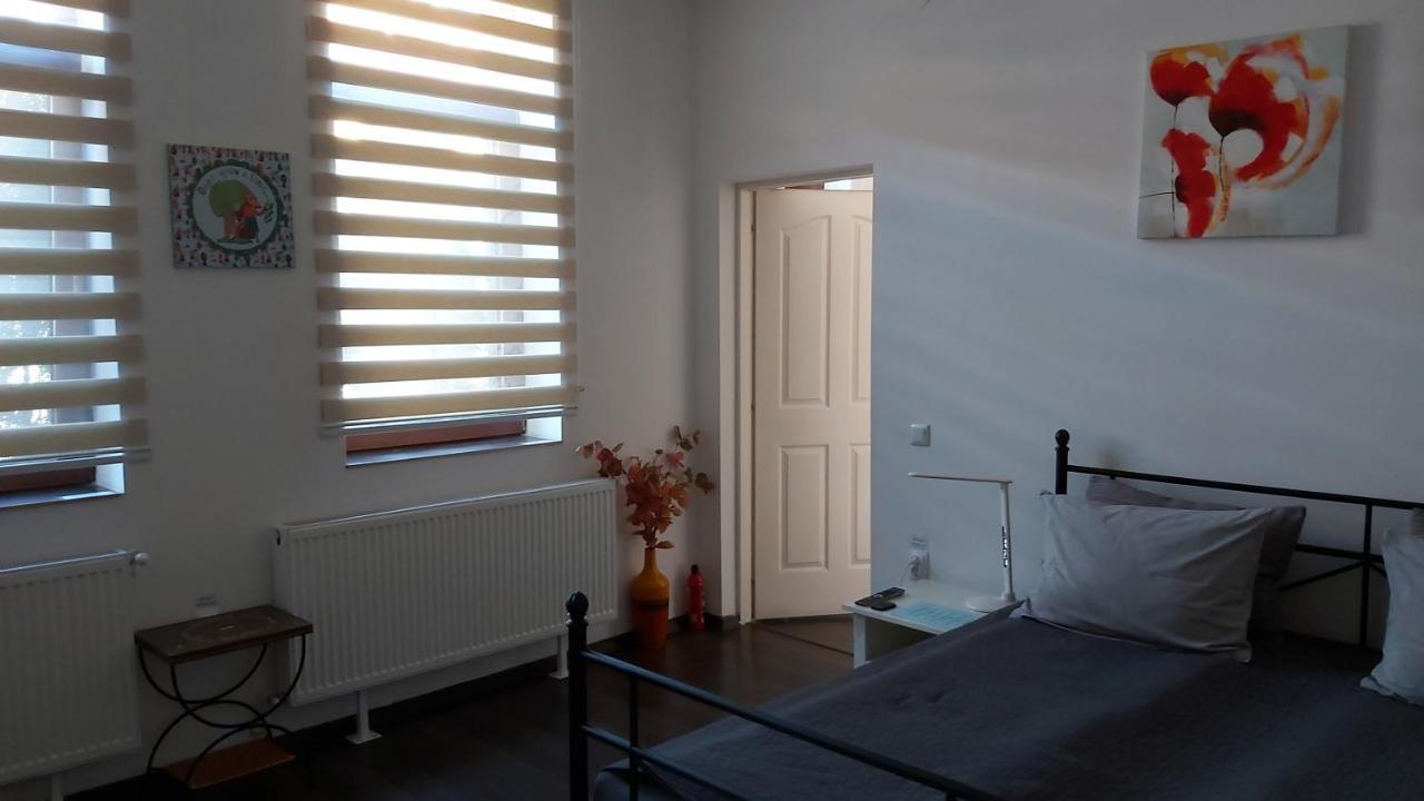 City Center Minimalist Apartment Oradea Buitenkant foto