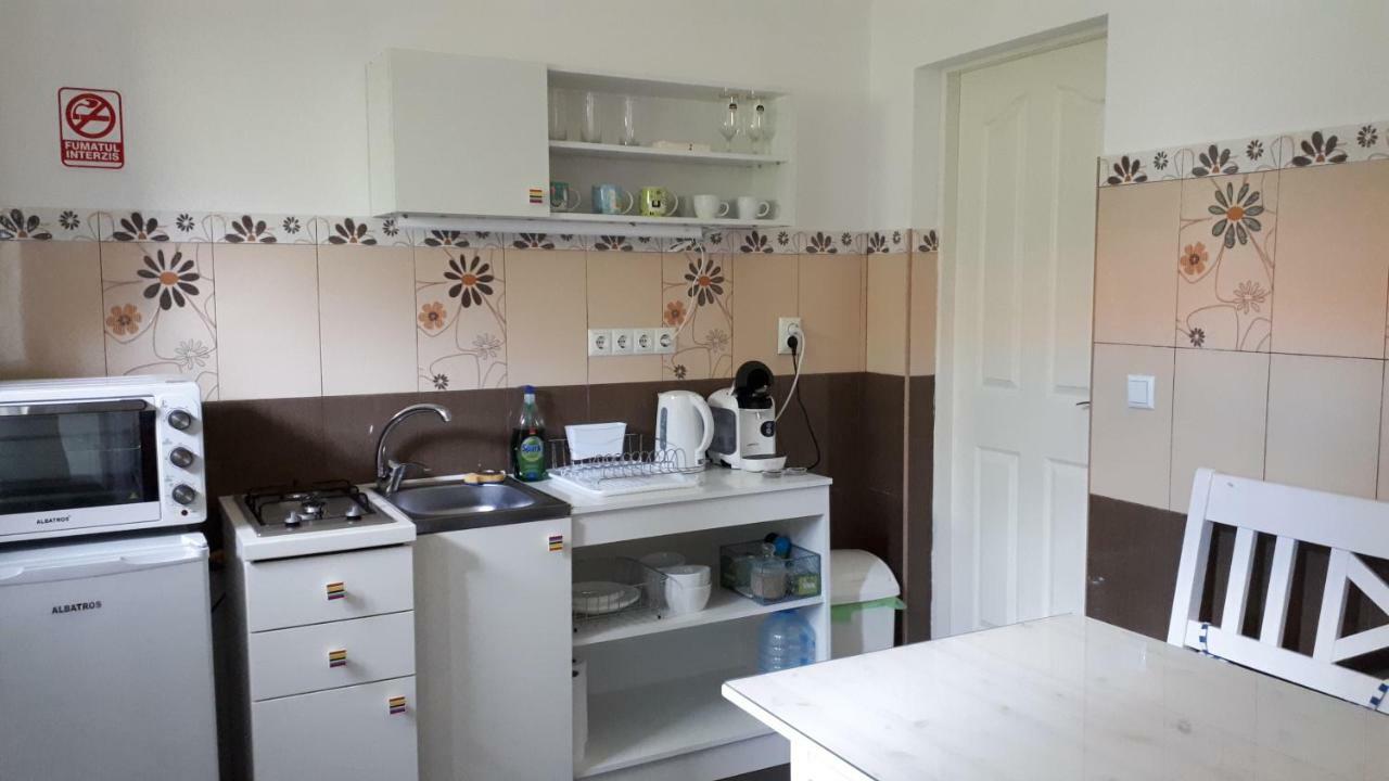 City Center Minimalist Apartment Oradea Buitenkant foto